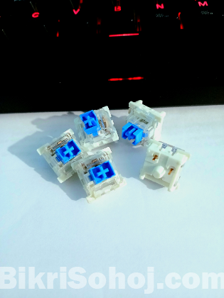 Mechanical Blue Switch